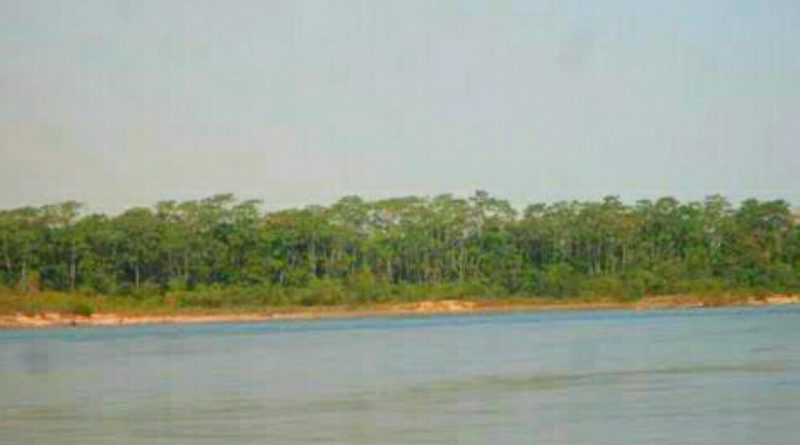 Bombeiros continuam buscas pelo professor desaparecido no rio Tocantins