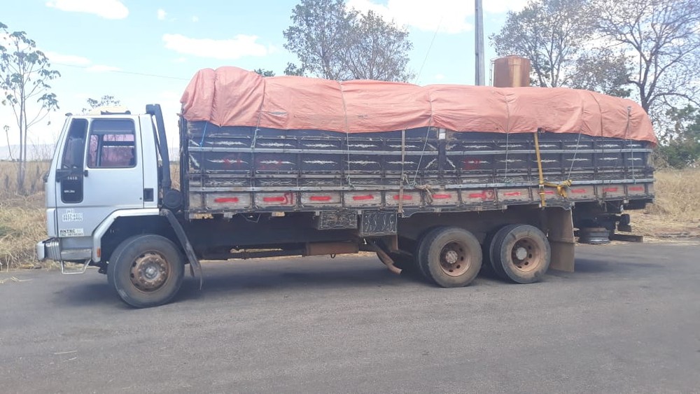 Caminhão com 10 toneladas de sementes é apreendida entre Palmas e Porto Nacional