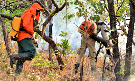 Comitê do Fogo avalia integração positiva entre órgãos para combater incêndios florestais no Tocantins
