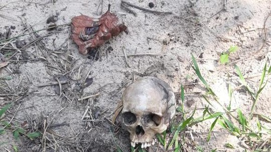 Duas ossadas humanas são encontradas neste final de semana no Tocantins