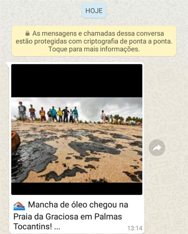 É MENTIRA! manchas de óleo não contaminaram praias de Palmas