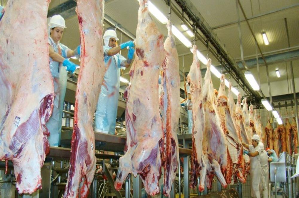 Exportações de carne bovina aumentam mais de 40% no Tocantins; China é o principal comprador
