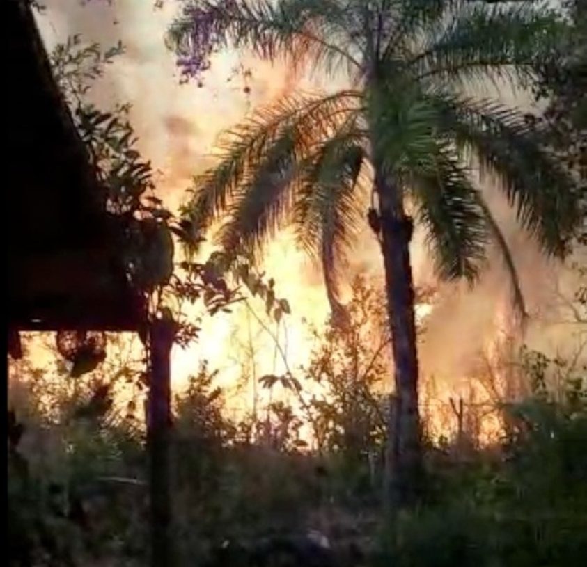 Família precisou fugir de chácara após casa ficar cercada por queimada na zona rural de Palmas