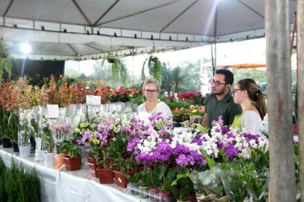 Feira de flores e plantas de Holambra acontece nesta quarta feira (04) em Palmas e Paraíso; confira