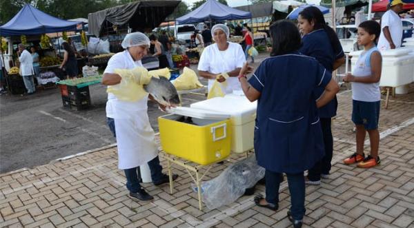 Feirantes de Palmas esperam vender mais de 300 toneladas de pescado durante Semana Santa