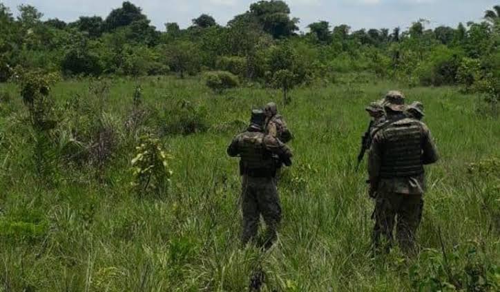 FIM DA OPERAÇÃO! Mais dois integrantes da