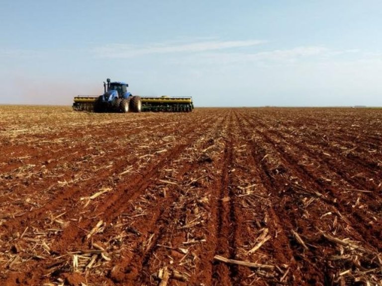 Governo abre oficialmente a temporada de plantio de grãos no Tocantins