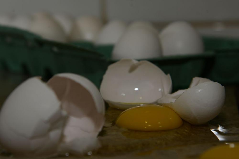 IBGE/ A produção de ovos de galinha bate recorde no país