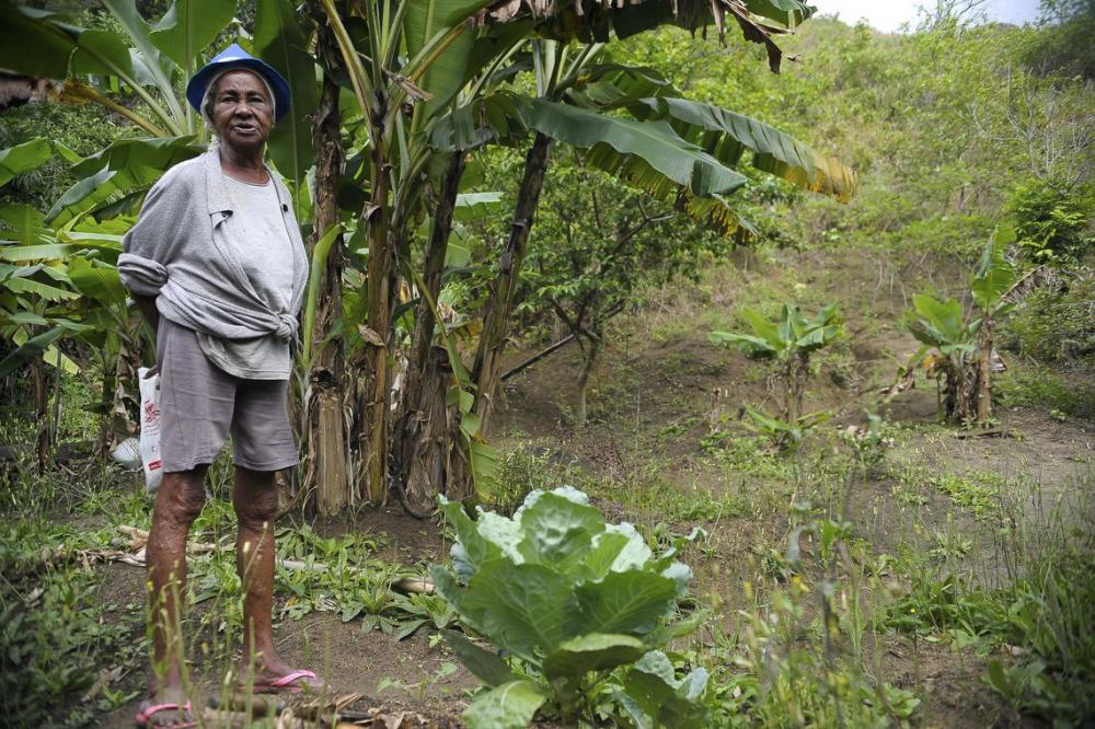 IBGE: campo está mais feminino e mais velho