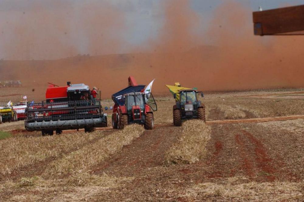 IBGE estima queda de 1% na safra de grãos em 2020