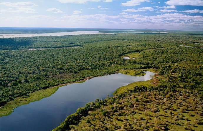 Ilha do Bananal pede socorro! Vida aquática está ameaçada com o clima seco