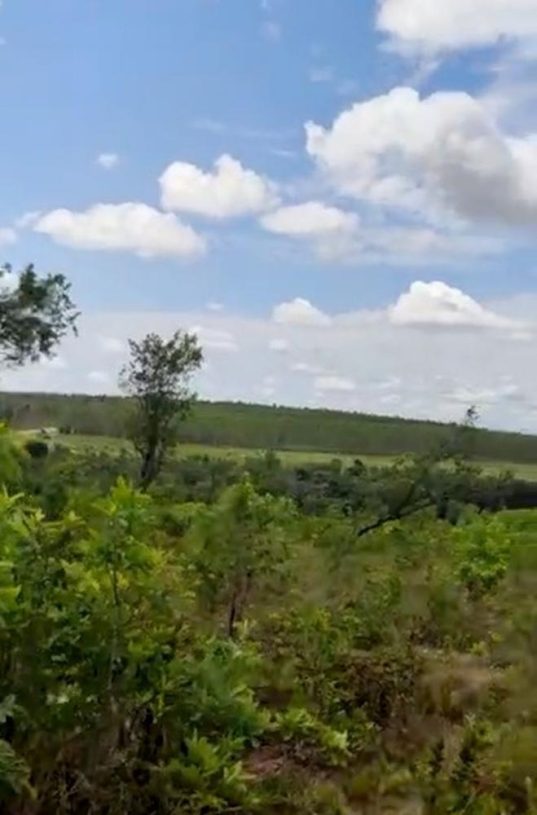 Jovem com Síndrome de Down é encontrado morto em matagal no sudeste do Tocantins; Polícia investiga o caso