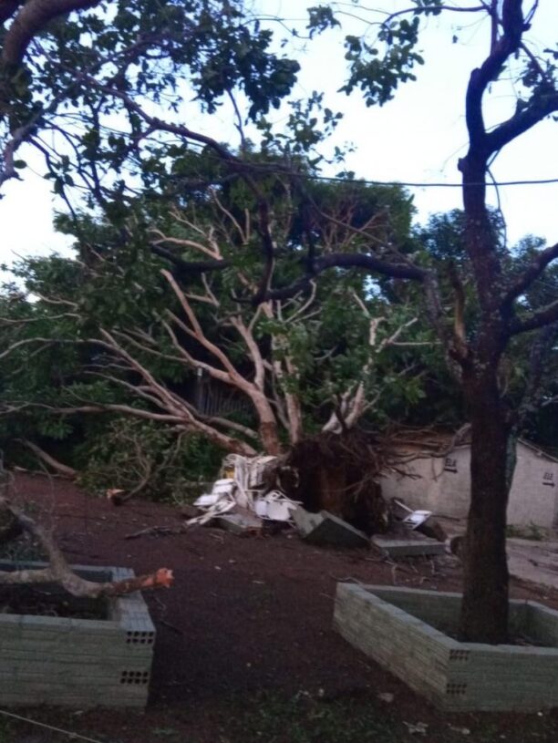 Mais de 400 postes são derrubados durante temporais no Tocantins