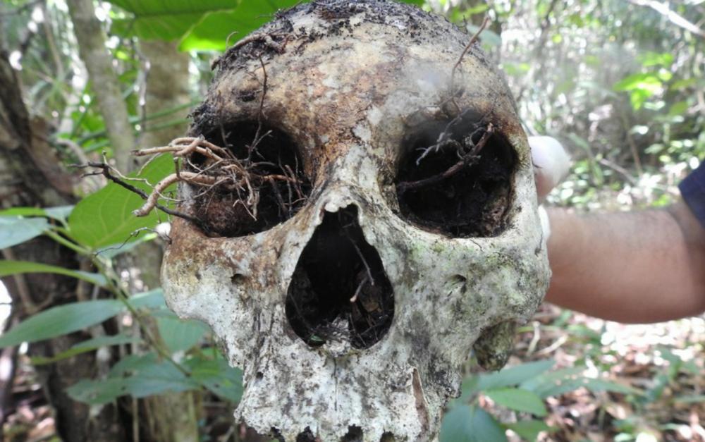 Ossada humana é encontrada por caçador em Formoso do Araguaia