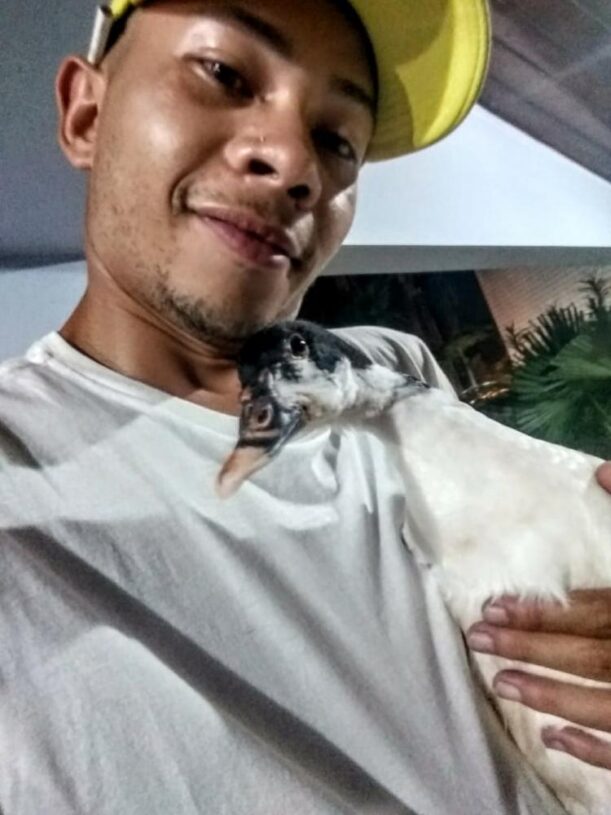 Pato sequestrado de comerciante causa comoção em vizinhança em São Paulo