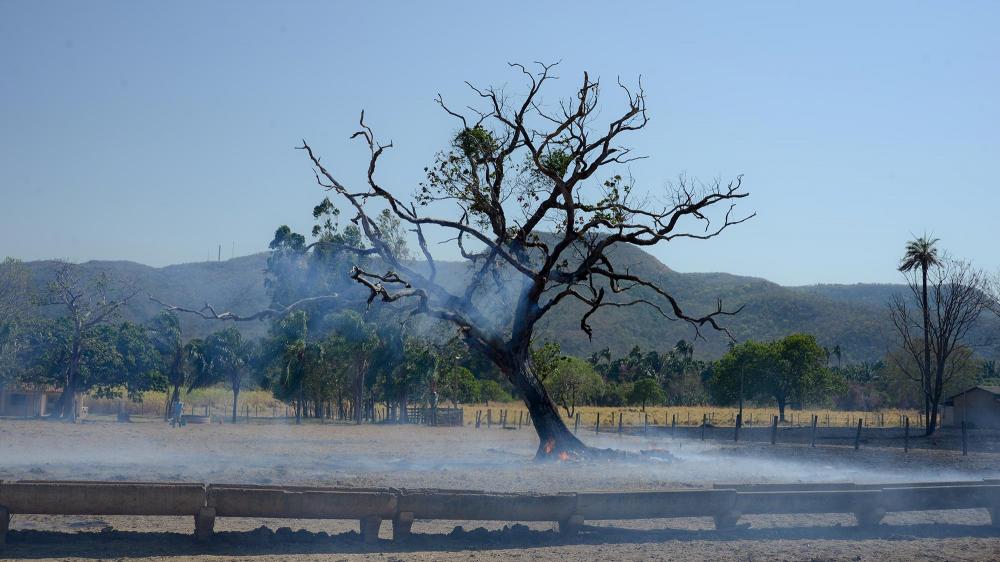 Prefeitura de Palmas contrata 20 pessoas para reforçar o trabalho de combate às queimadas