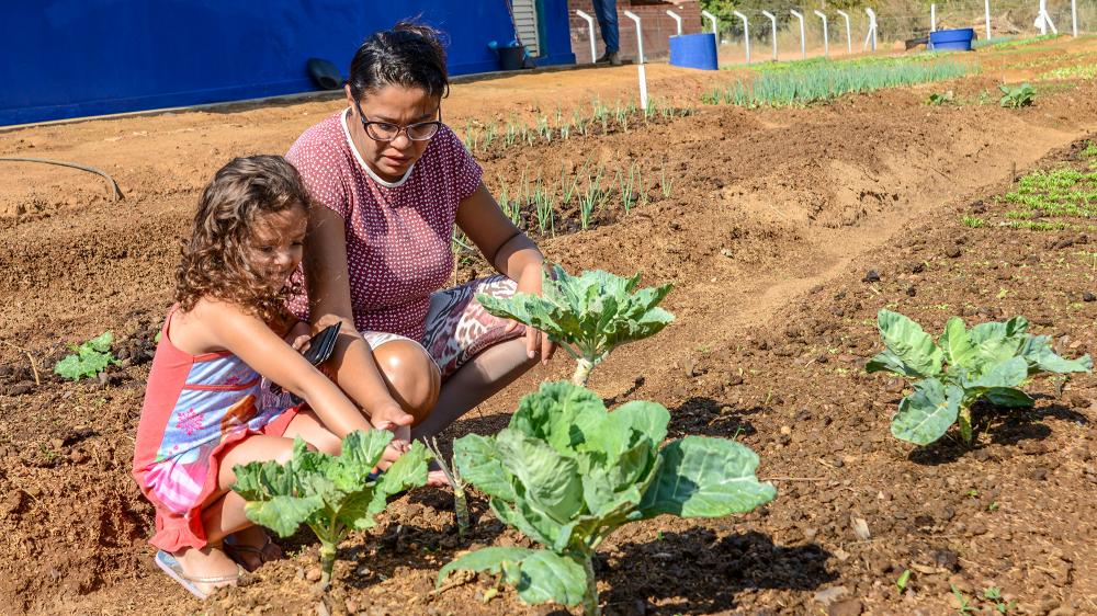 Produtos da Horta Comunitária de Taquaruçu vão abastecer distrito e cozinhas do FGT