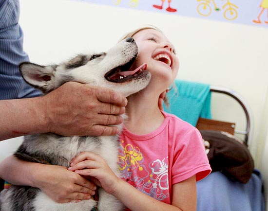 Projeto de terapia com cães leva alegria para pacientes internados no HGP em Palmas