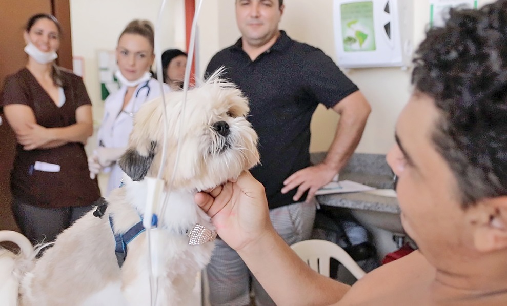 Projeto que utiliza cães em terapias no HGP completa dois anos