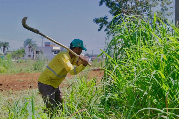 Proprietários de lotes baldios em Gurupi são intimados a limparem seus terrenos até Janeiro de 2020
