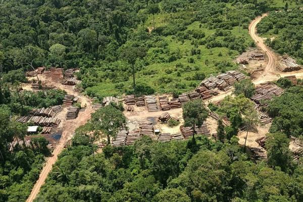 STF veta trecho de MP que transferia demarcação de terras indígenas da Funai para Ministério da Agricultura