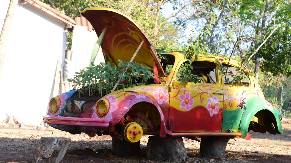 Sucata é transformada em jardim florido no Viveiro de Flores de Palmas