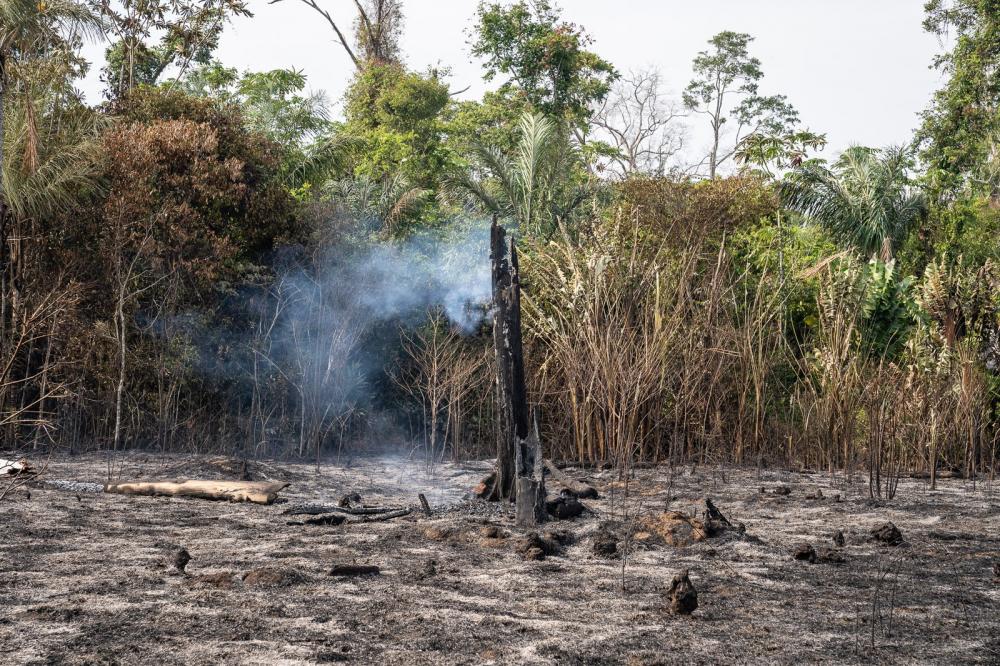 Terras indígenas na Amazônia ameaçadas; número de queimadas dobra em relação a 2018