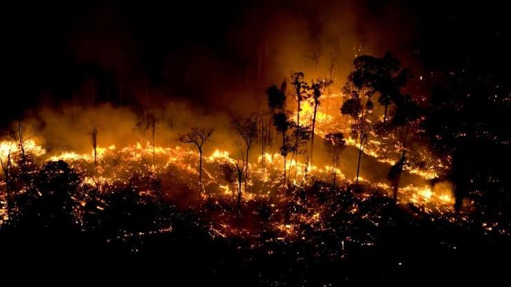 Tocantins mais três estados da Amazônia já pediram ação das Forças Armadas no combate ao fogo, diz Governo