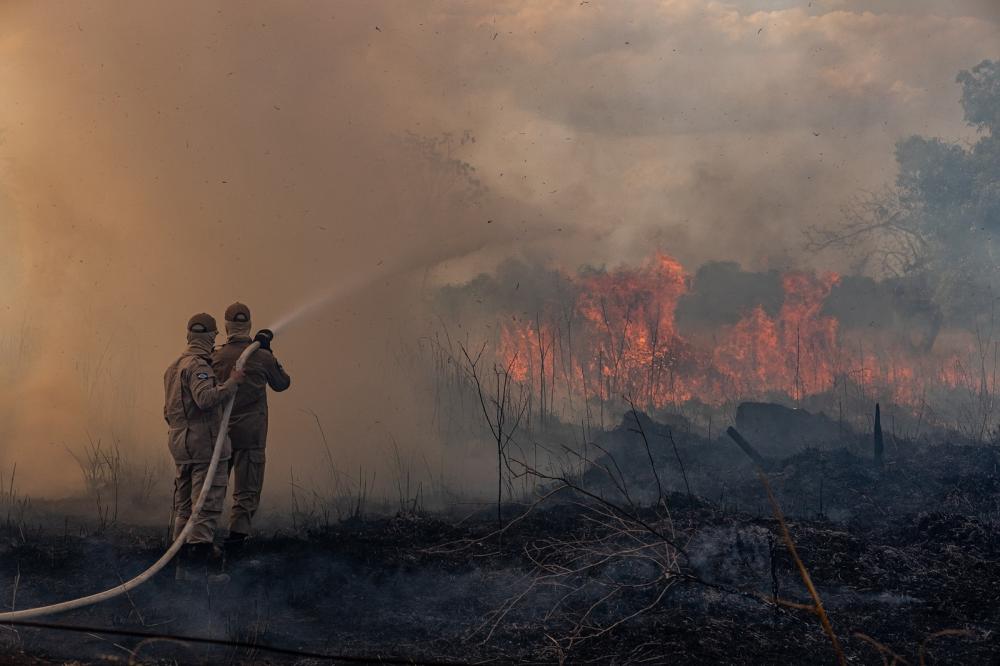 VEJA: Pantanal registra 334% mais focos de queimadas em 2019, ano com menos chuvas e intensa onda de calor na região