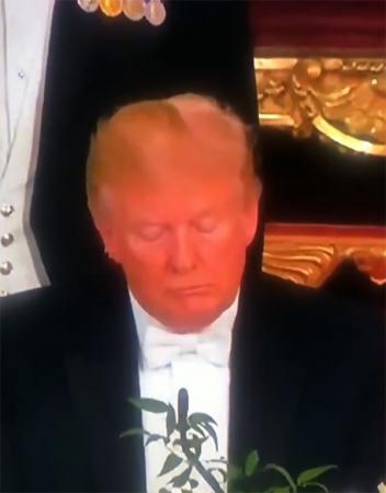 Vídeo em que Donald Trump adormece durante discurso da rainha Eizabeth II viraliza na web