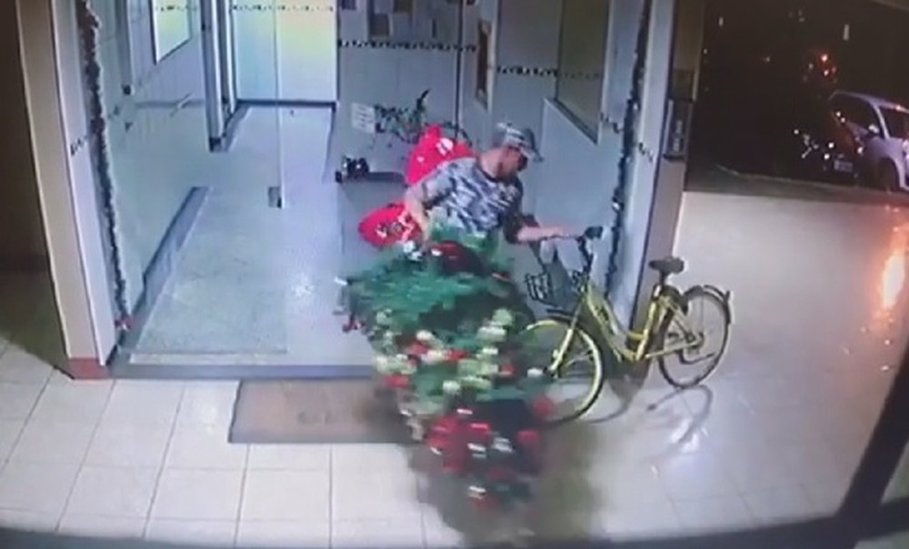 VÍDEO: homem invade prédio e leva árvore de Natal, em Brasília