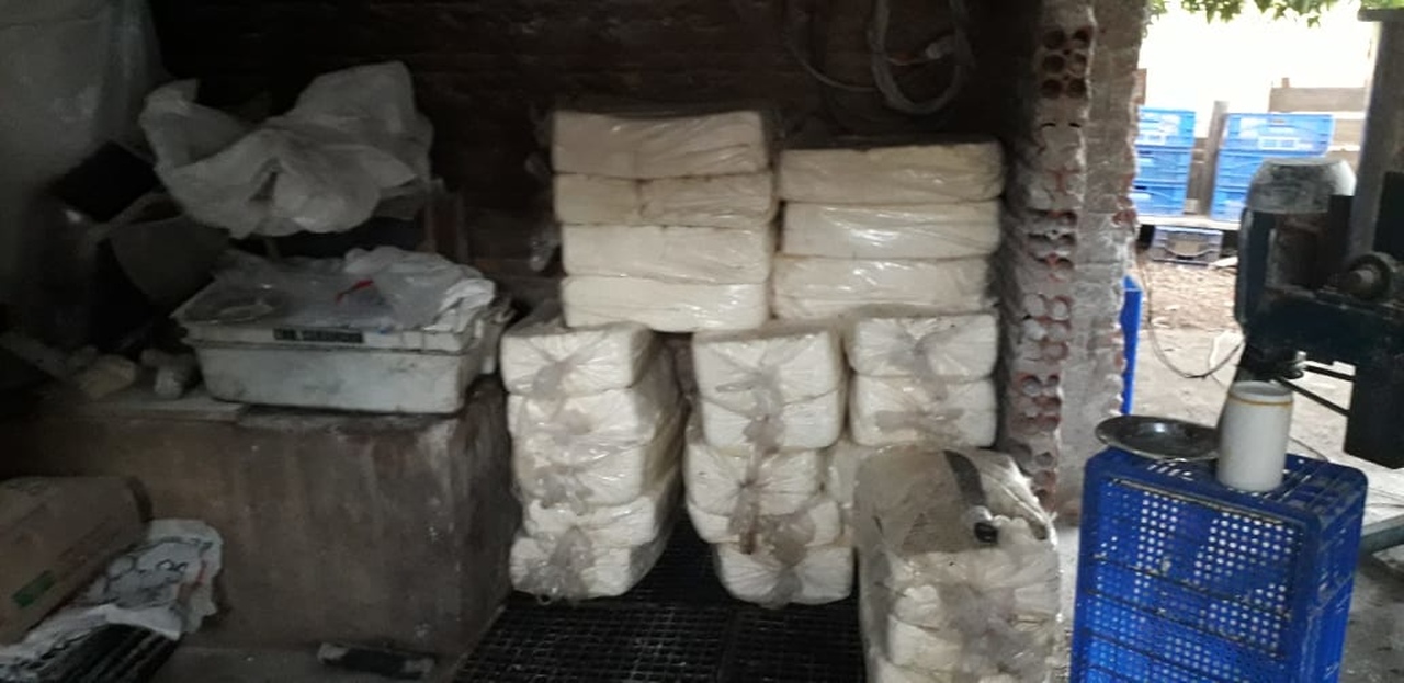 Fábrica clandestina de queijos é fechada pela Polícia Militar em Luzimangues