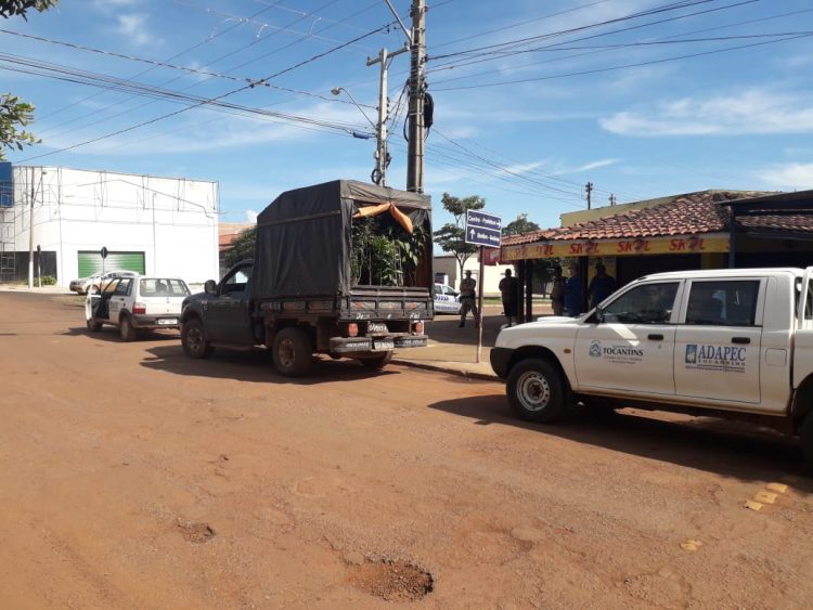 Carga de mudas frutíferas irregulares é apreendida em Miranorte; proprietário da carga foi multado em R$3.600 reais