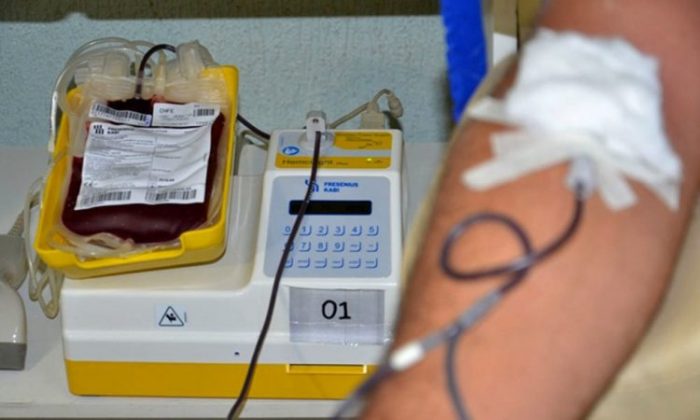 Hemorrede pede que doadores compareçam aos hemocentros; estoque de sangue está em baixa