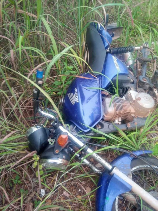Moto furtada com placa de Palmas é encontrada em matagal em Guaraí