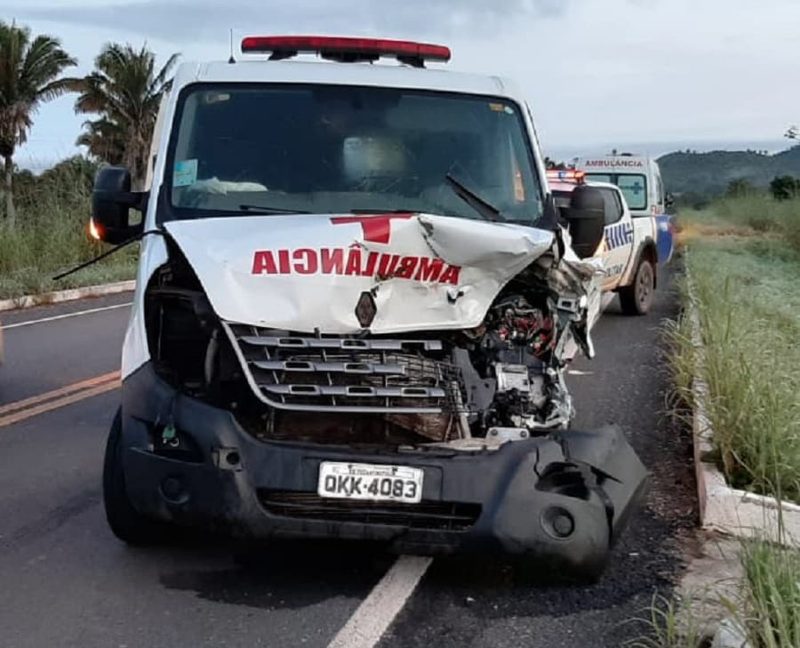 Bezerro solto causa acidente grave com ambulância durante a madrugada desta segunda (13) na região do Bico do Papagaio