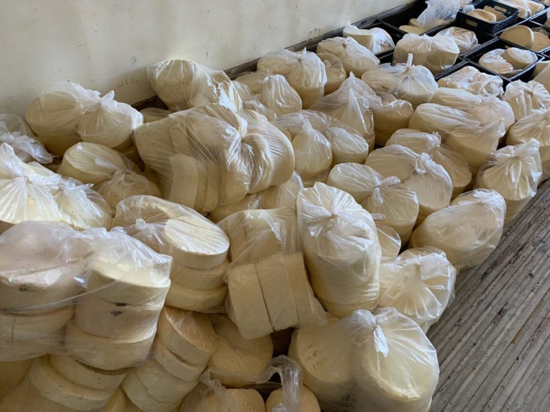 Três toneladas de queijos clandestinos impróprios para o consumo são apreendidos em Paraíso do Tocantins
