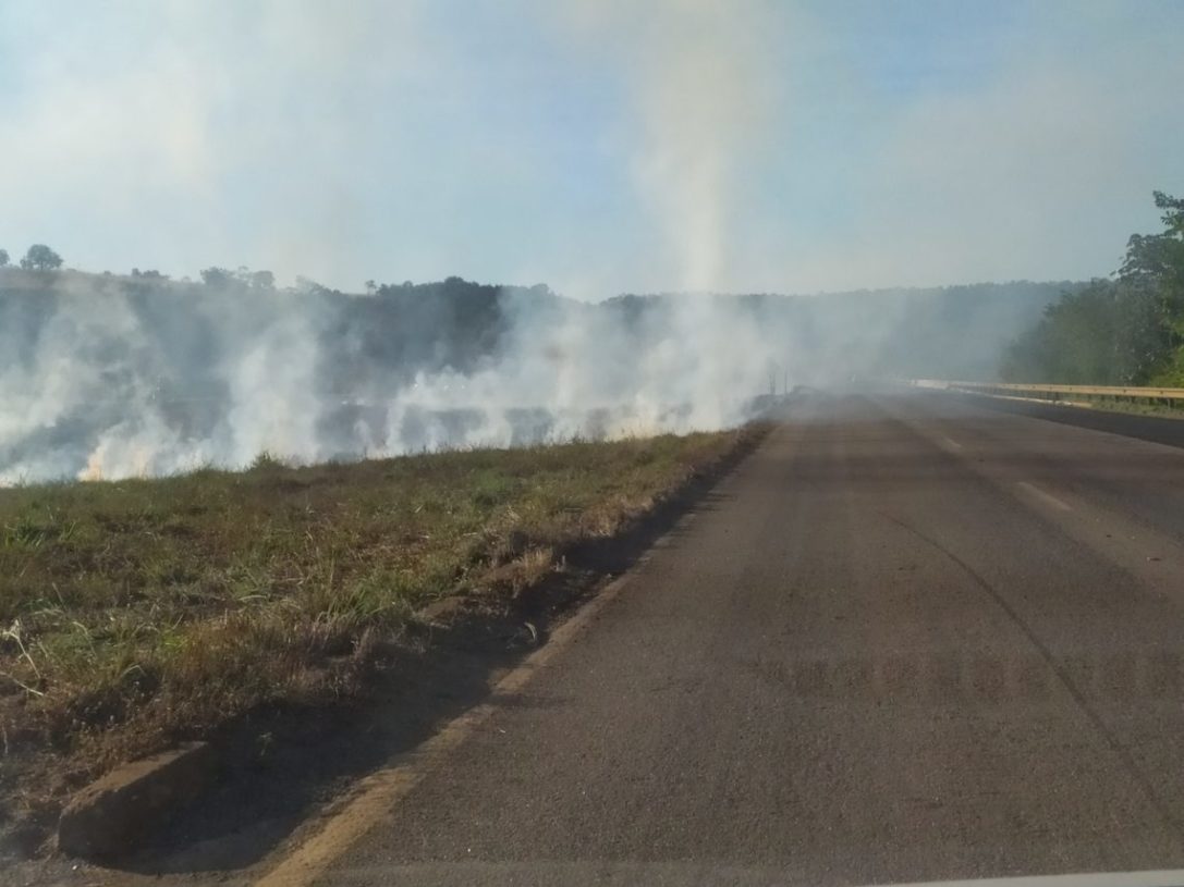 Queimada na BR-010 em Palmas provoca nuvem de fumaça e atrapalha motoristas