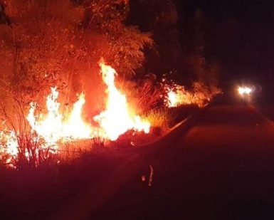 Crime ambiental: Dois homens são presos em flagrante colocando fogo em vegetação no norte do Tocantins