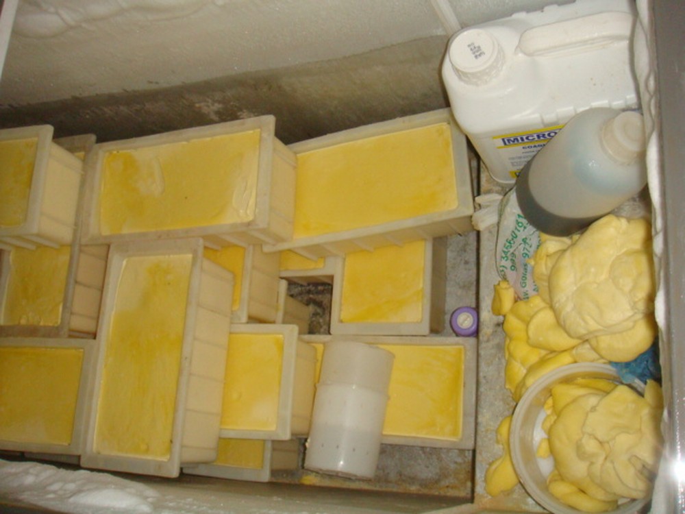 Fiscais da Adapec autuam fábrica de queijo clandestina que funcionava ao lado de chiqueiro em Augustinópolis