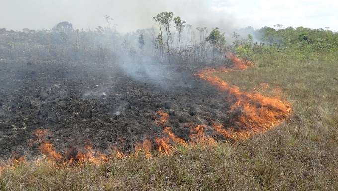 Governo Federal autoriza envio das Forças Armadas para o combate às queimadas no Tocantins