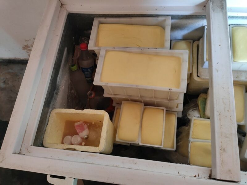 Fiscais da Adapec encontram queijaria ilegal no norte do Tocantins; produtos eram armazenados com vacinas para gado