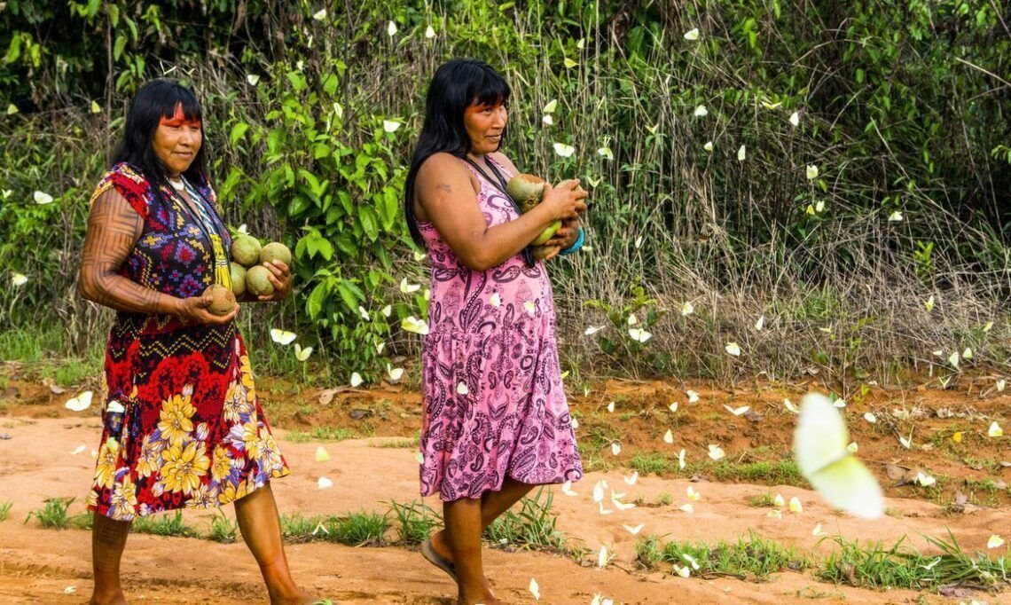 MPF cobra medidas de prevenção urgentes para conter avanço da Covid-19 entre os povos indígenas do Tocantins