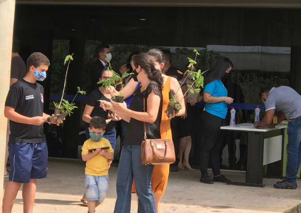 Governo do Tocantins distribui 2 mil mudas de árvores típicas do Cerrado em comemoração ao Dia da Árvore