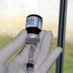 Casos de sarampo sobem para nove no Tocantins e acendem alerta para vacinação em comunidade de Campos Lindos