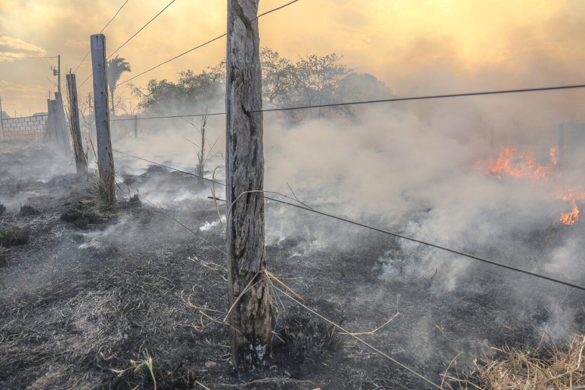 Órgãos ambientais e de fiscalização vão percorrer áreas de Luzimangues, Barrolândia e Miracema em operação contra incêndios florestais