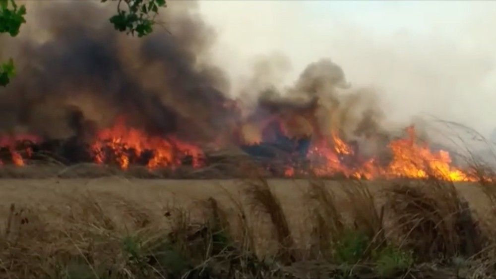 Incêndio florestal está destruindo propriedades rurais e áreas de preservação em Talismã há 24 horas