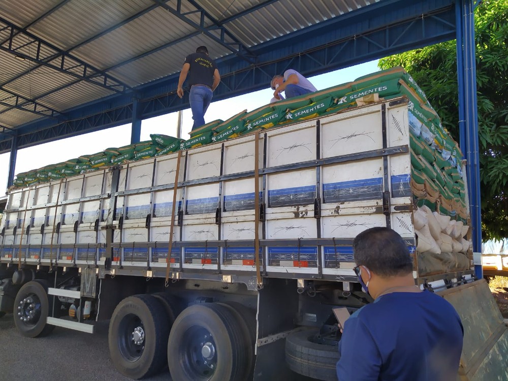 Adapec e PRF apreendem 20 toneladas de sementes de capim na BR-153 em Paraíso do Tocantins