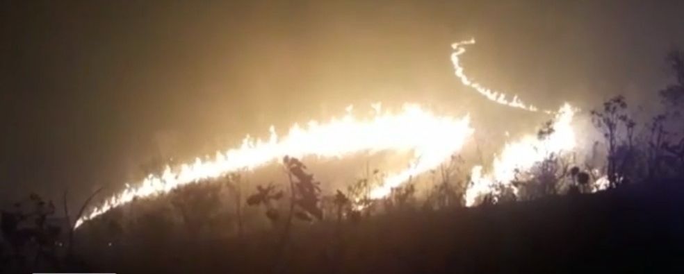 Incêndio florestal está destruindo plantação de eucalipto na zona rural de Novo Acordo há dois dias
