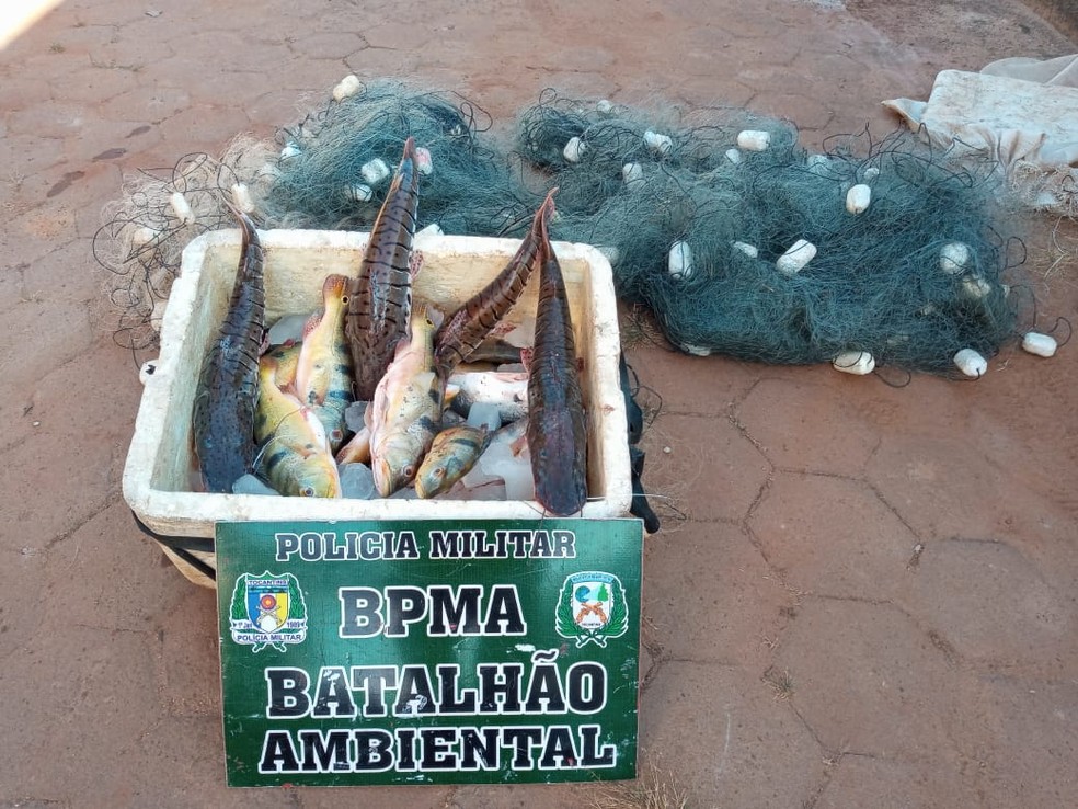 17 tartarugas e 65 kg de peixes são apreendidos durante fiscalização no Parque Estadual do Cantão